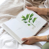 Bundle Deal: Flat x Fitted Sheet – Snow